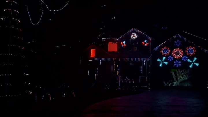 Night view of the O'Hara Family Light Show with mega tree and synchronized RGB display